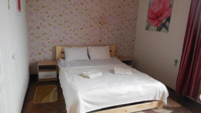 2 Room Apartment near Opera House, Lviv